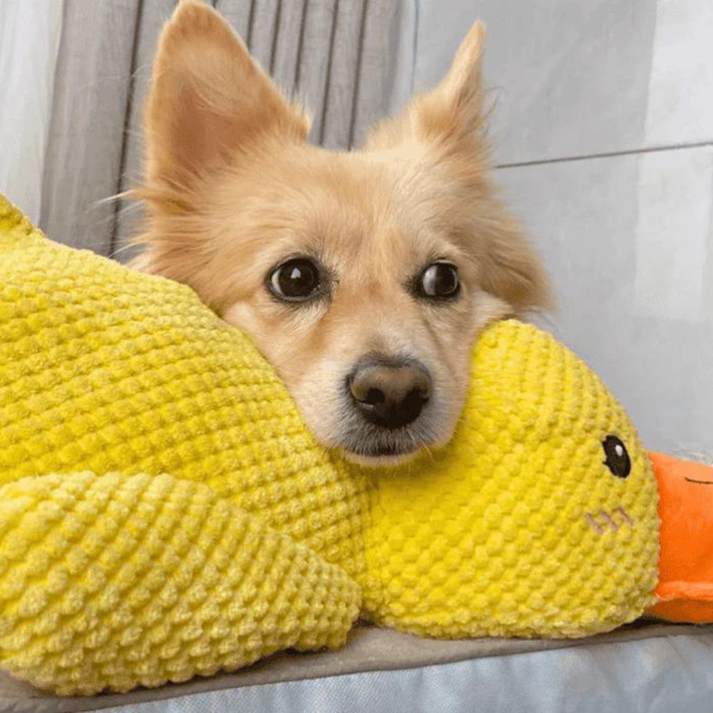 Jouet pour chien apaisant en forme de canard - Ducky le canard®