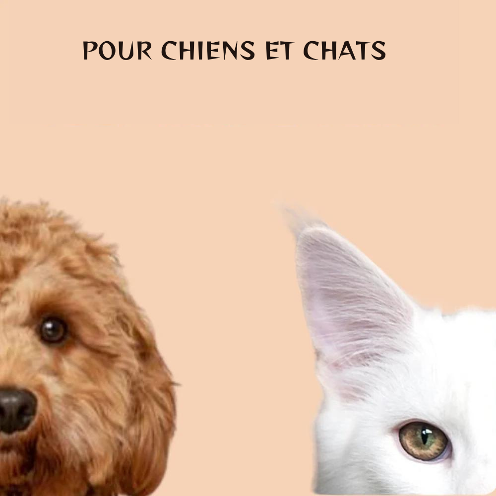 Appareil de pédicure  pour chiens et chats - Pedicare